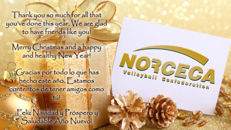 Merry Christmas and Happy New Year 2023