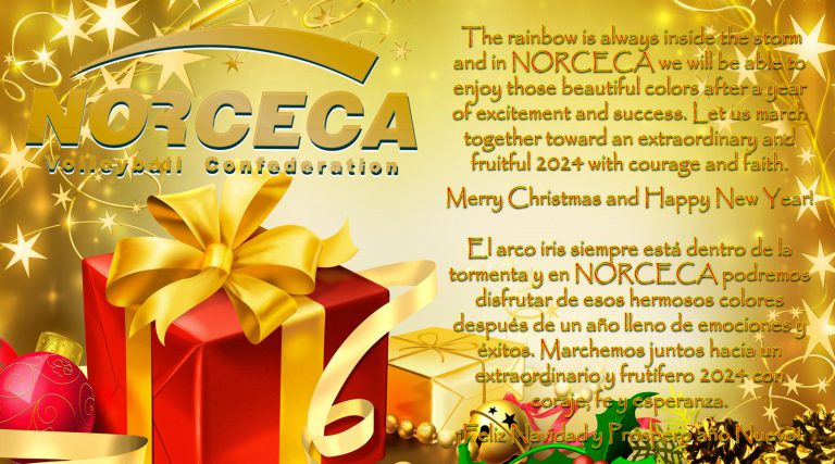 Merry Christmas and Happy New Year!