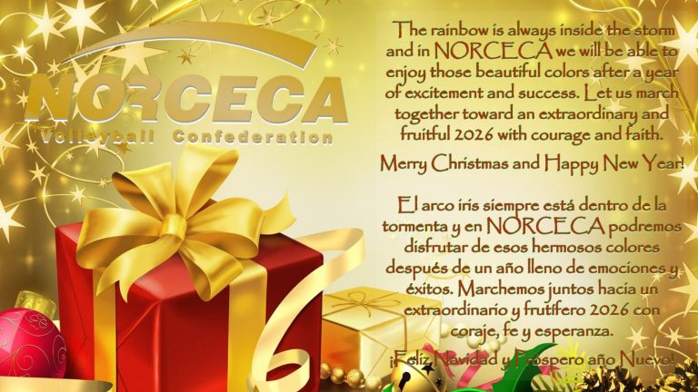 Merry Christmas and Happy New Year